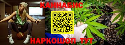apvp Аргун