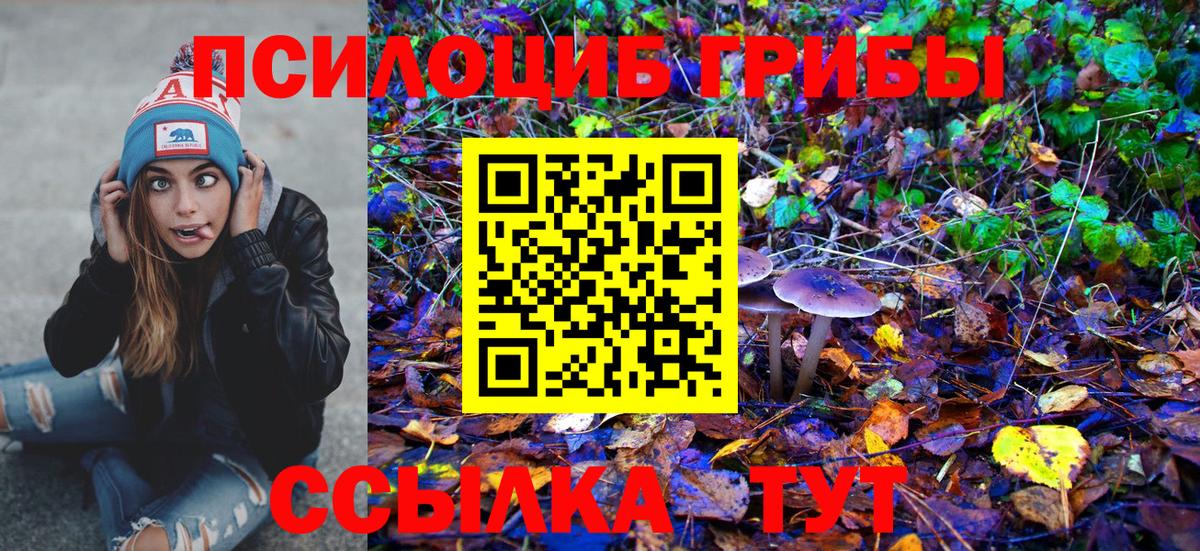 Владикавказ  Галлюциногенные грибы Cubensis  Вход с VPN  Галлюциногенные грибы мухоморы 